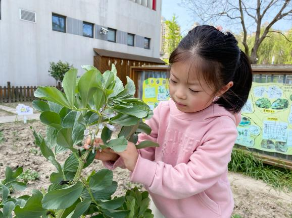 大五班刘丹霓.png 大五班刘丹霓.png