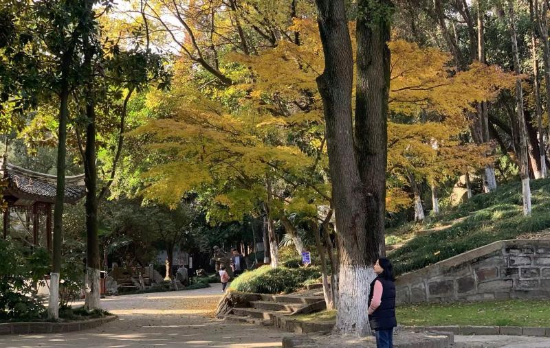 591c0087eab62d24133ea38993ac88f8.jpg 591c0087eab62d24133ea38993ac88f8.jpg