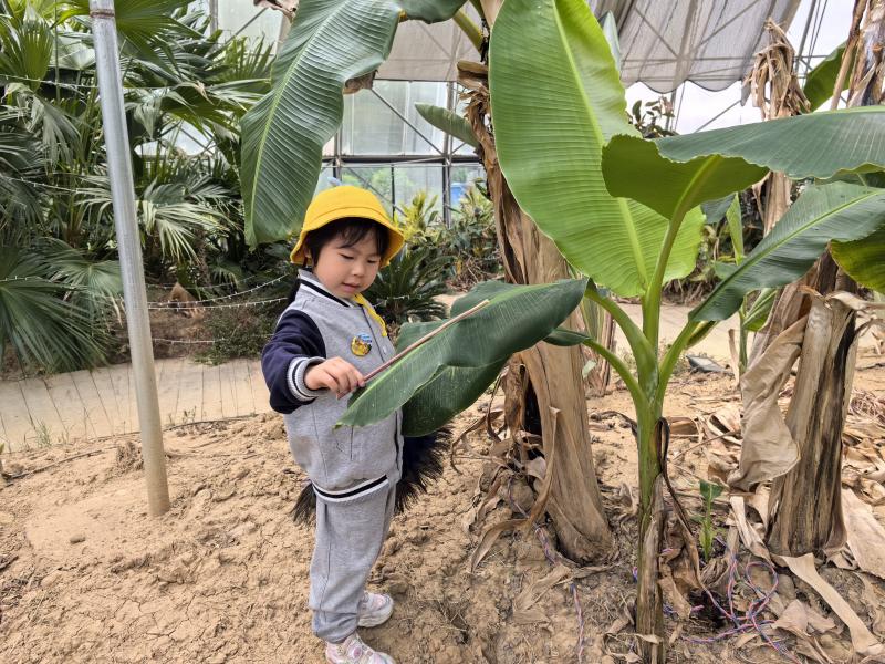 中二班 黄柒瑶.jpg 中二班 黄柒瑶.jpg