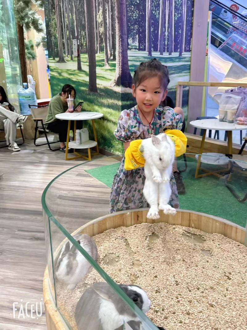 中三班 施欣彤.JPG 中三班 施欣彤.JPG