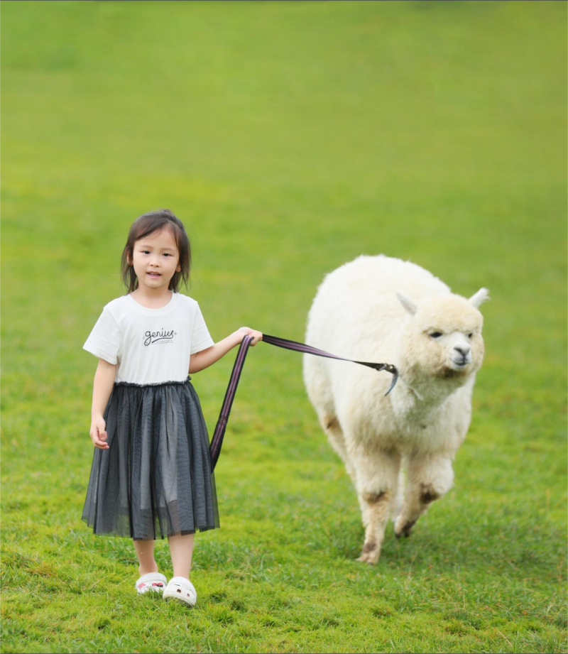 中四班 张伊楠.png 中四班 张伊楠.png