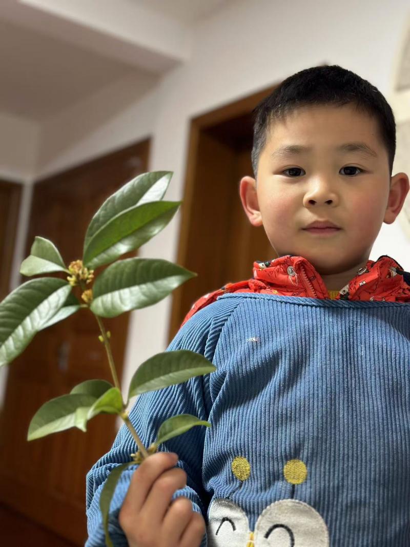 e5ad2f88956de3a4f038662aafae41b.jpg e5ad2f88956de3a4f038662aafae41b.jpg