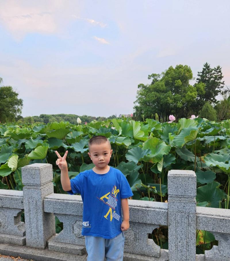 中二班:王俊泽.jpg 中二班:王俊泽.jpg