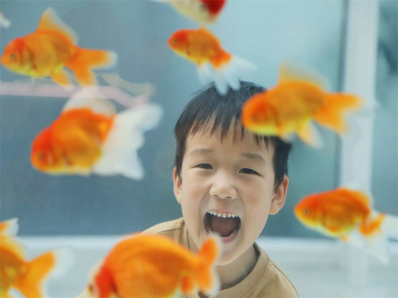 中二班 顾一宸.png 中二班 顾一宸.png