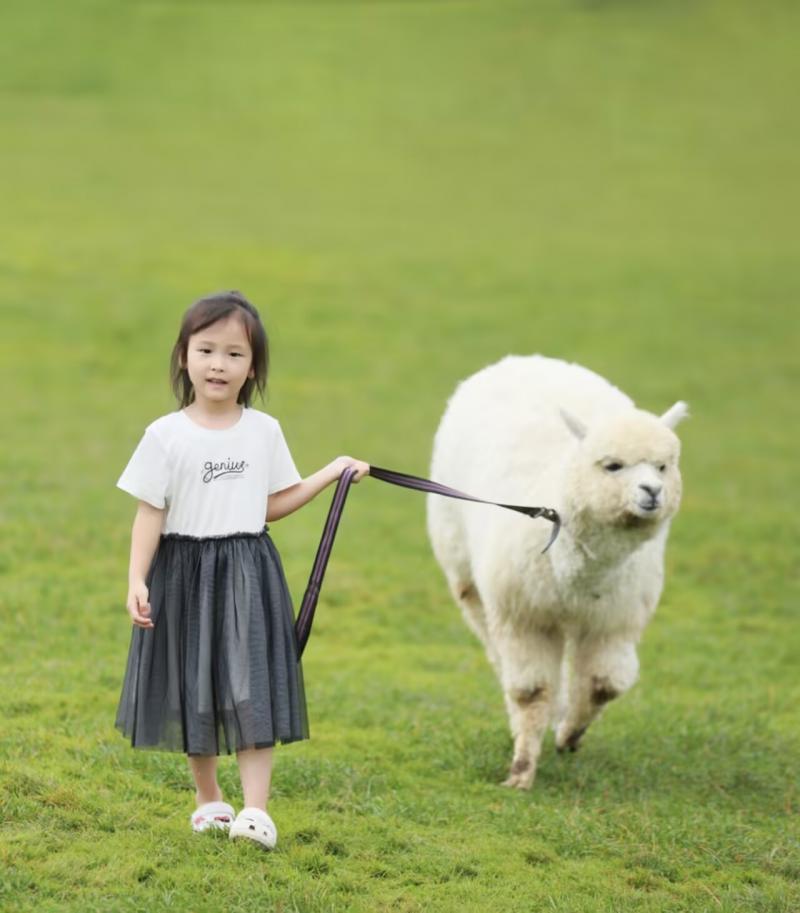 张伊楠.png 张伊楠.png