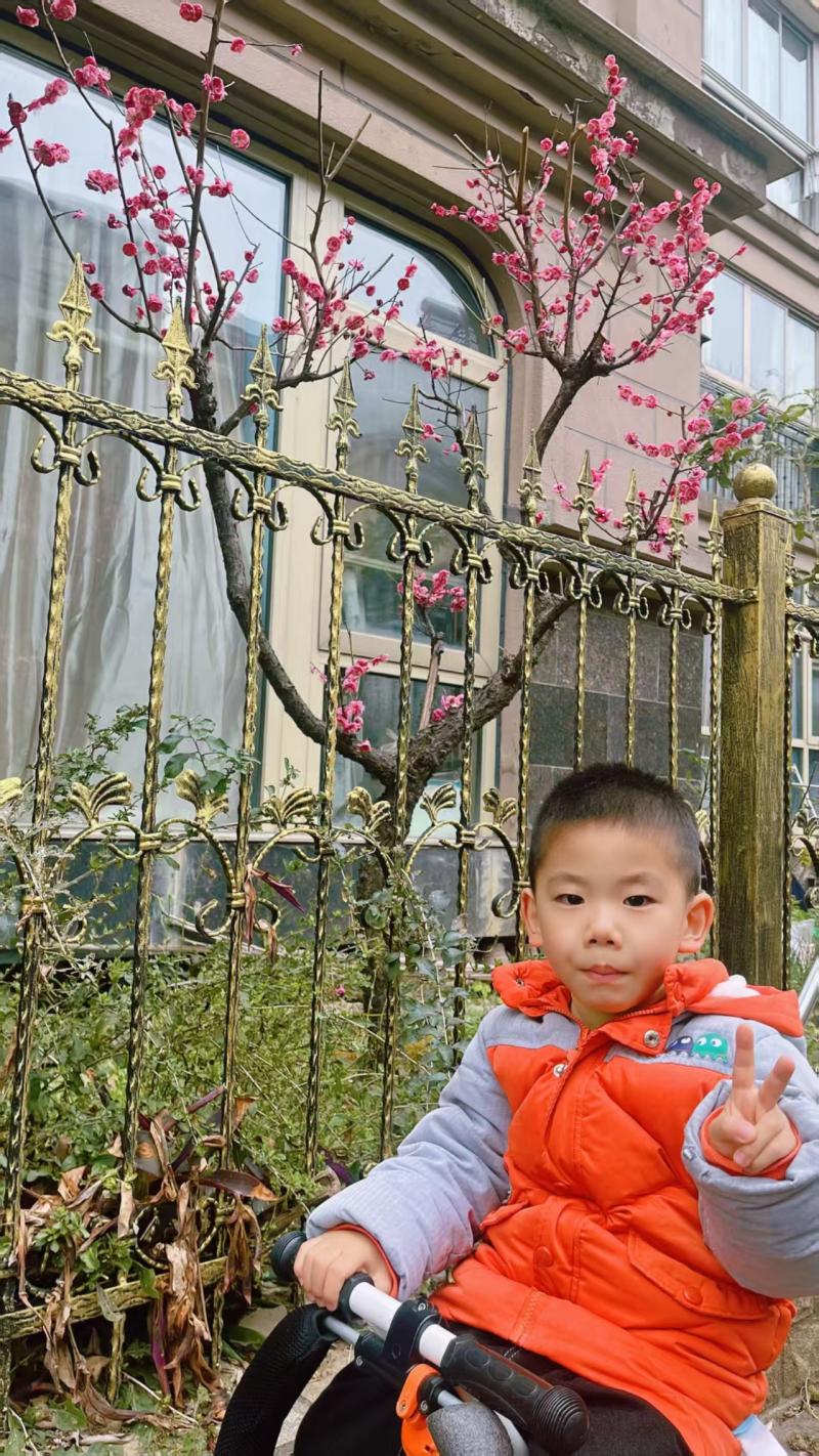 小一班 沈奕衡.jpg 小一班 沈奕衡.jpg