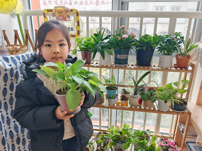 王文萱.png 王文萱.png