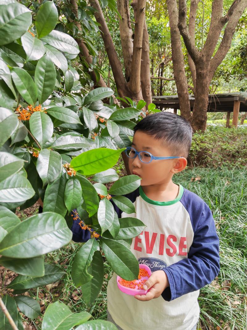 黄思航.jpg 黄思航.jpg