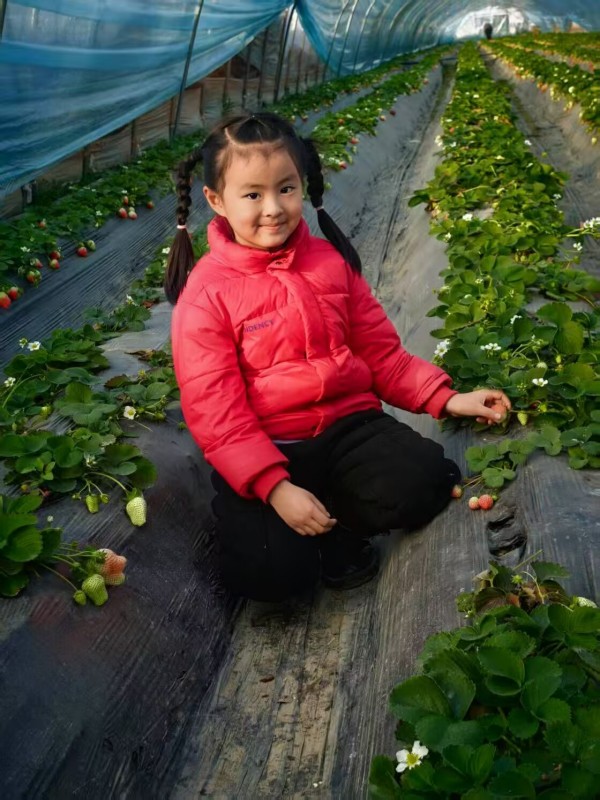 大一班:吕可斐.jpg 大一班:吕可斐.jpg