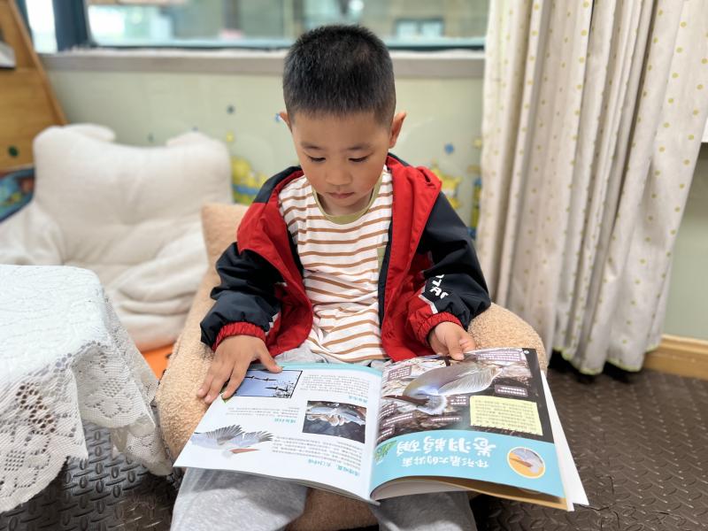 潘迪诺.JPG 潘迪诺.JPG