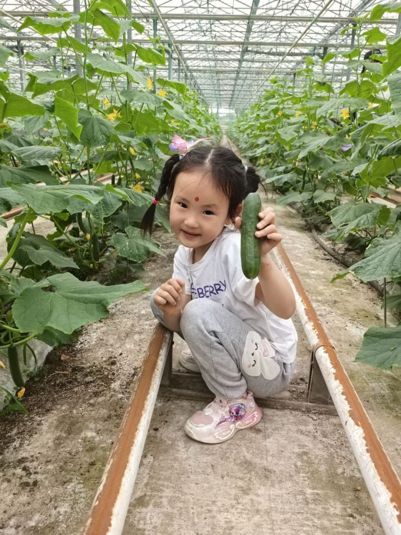 中八班 董怡彤.png 中八班 董怡彤.png