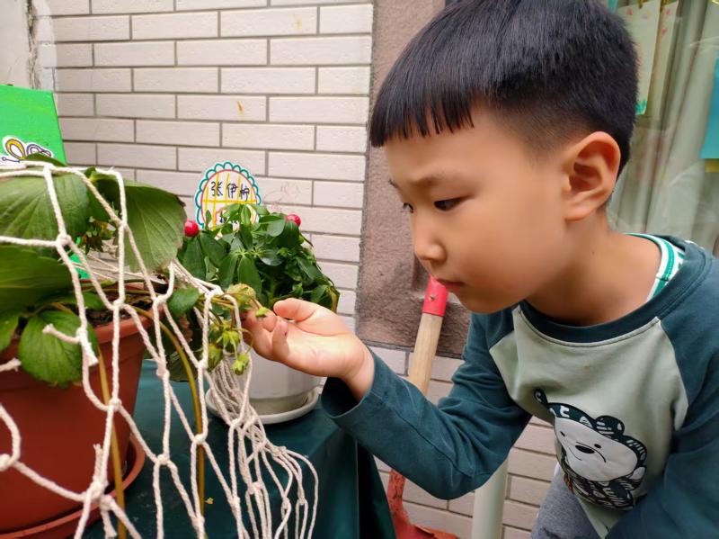 中二班 孙颢轩.jpg 中二班 孙颢轩.jpg