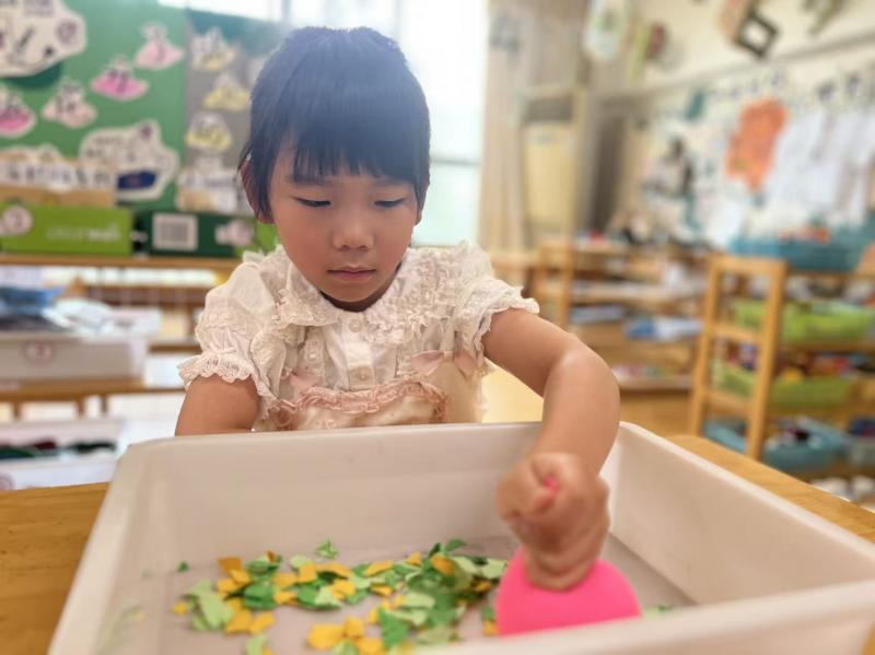 沈米乐.png 沈米乐.png