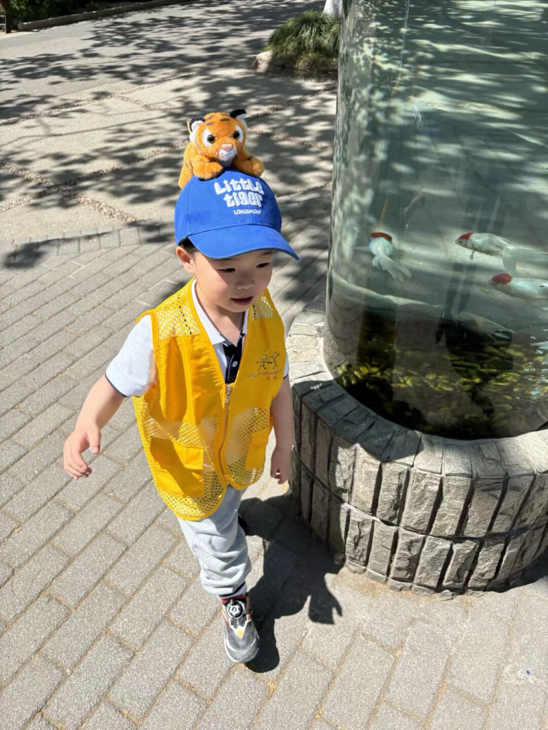 IMG_9670.PNG IMG_9670.PNG