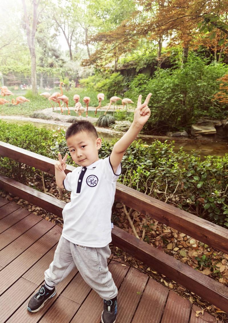 小一班 刘思哲.jpg 小一班 刘思哲.jpg