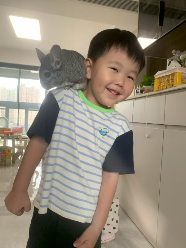 中二班  沈宇辰.jpg 中二班  沈宇辰.jpg