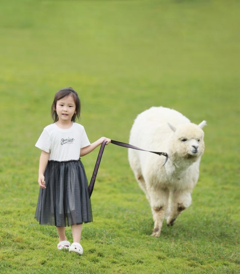 张伊楠.png 张伊楠.png