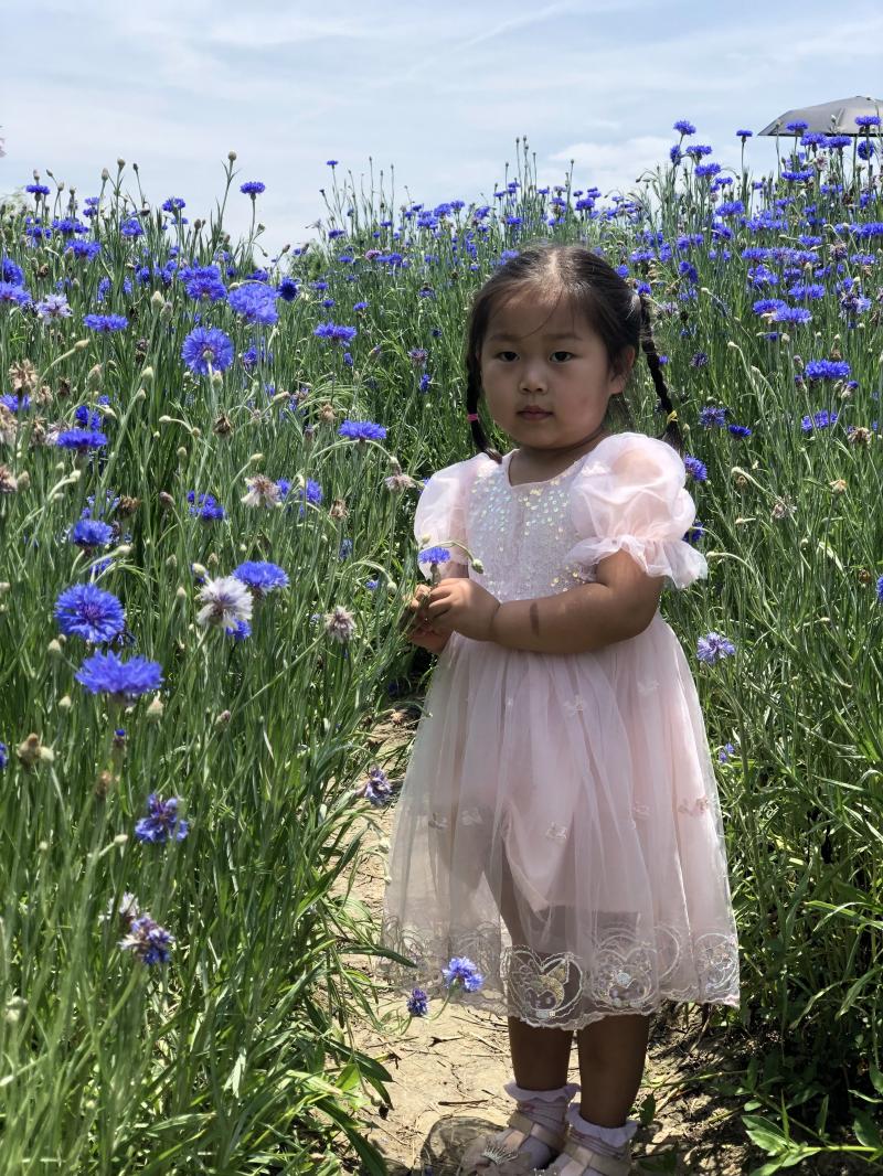 大二班 段佳昕.png