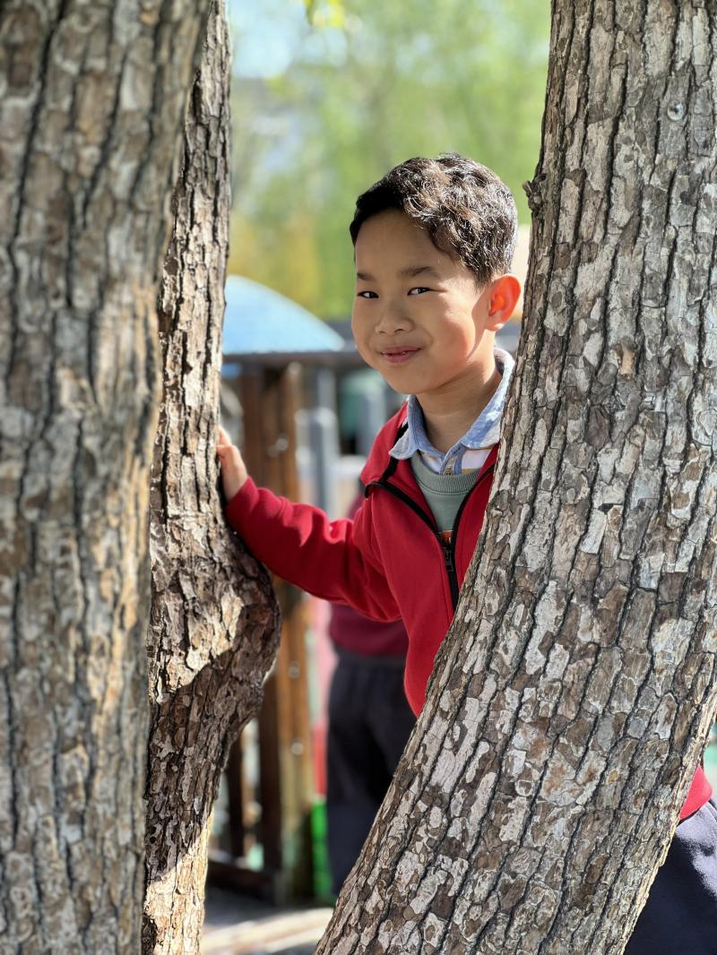 大六班 沈含镇.png