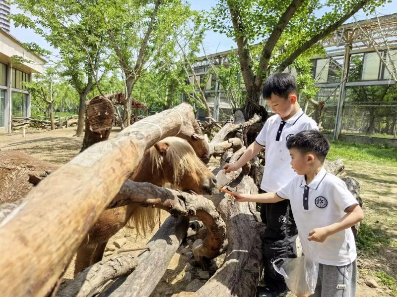 实幼新闻｜四月工作盘点